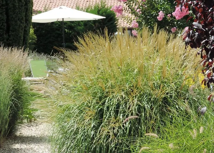 D'hotes Surcouf Bed & Breakfast 3*